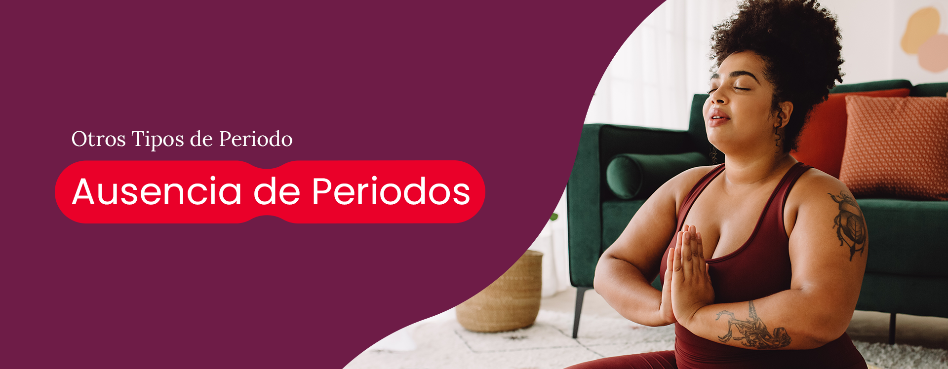 Ausensua de periodos